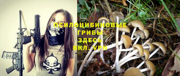 спайс Абинск