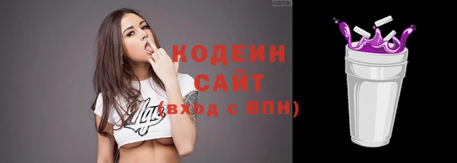 гашик Абаза