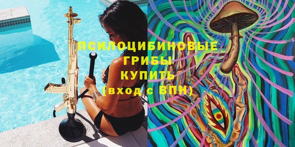 круглые Алзамай