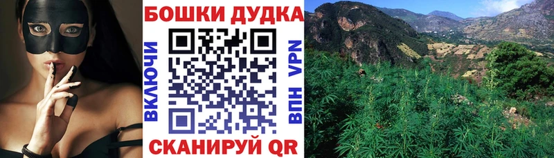 Шишки марихуана Bruce Banner  Темников 